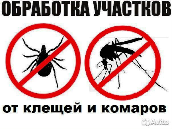 Уничтожение клопов, Кротов Клещей Комаров Ос Мышей