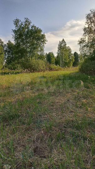 Участок 11 сот. (СНТ, ДНП)