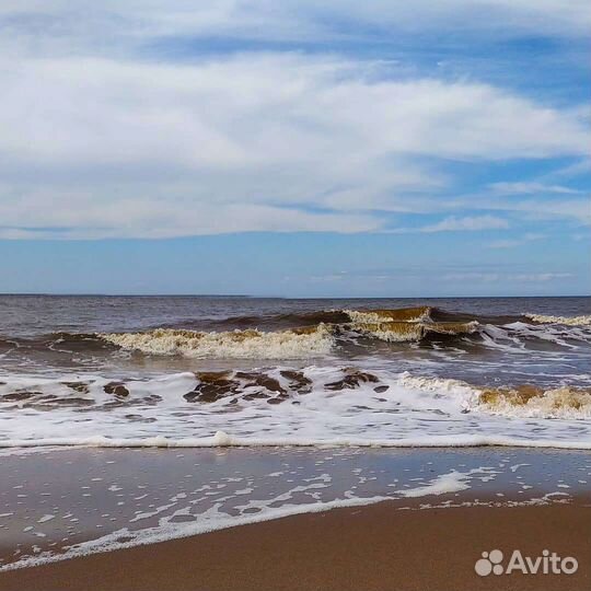 Отдых на Белом море. Рыбалка с гидом