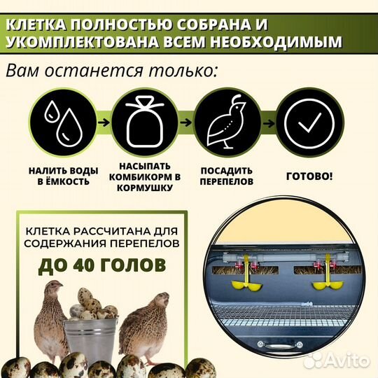 Клетка для перепелов на 40 голов. Удача кп-40-2я-У