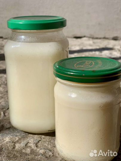 Барсучий жир от охотника