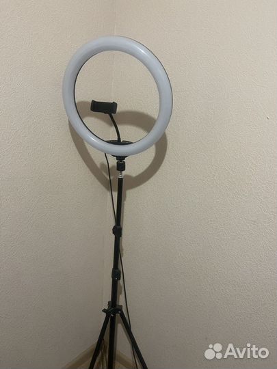 Кольцевая дампа