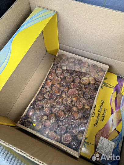 Свежие финики Суккари 3 кг