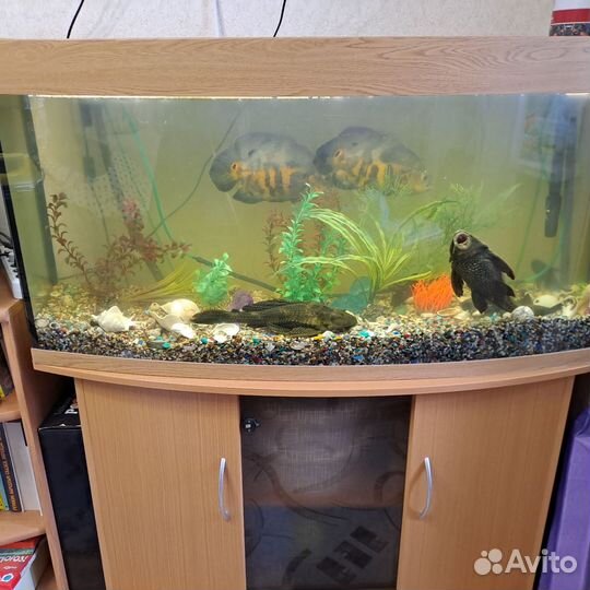 Аквариум с тумбой 220л