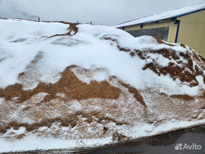 Древесная щепа