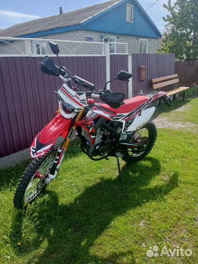 Regulmoto CR-Z 300 2023