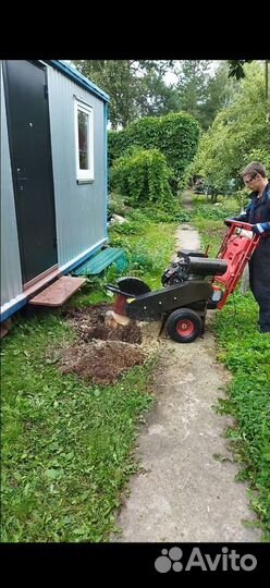 Спил, удаление деревьев по частям, удаление пней