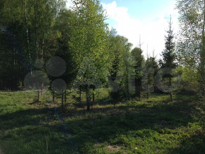 Участок 30 сот. (ИЖС)