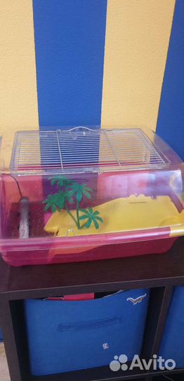 Террариум для красноухой черепахи
