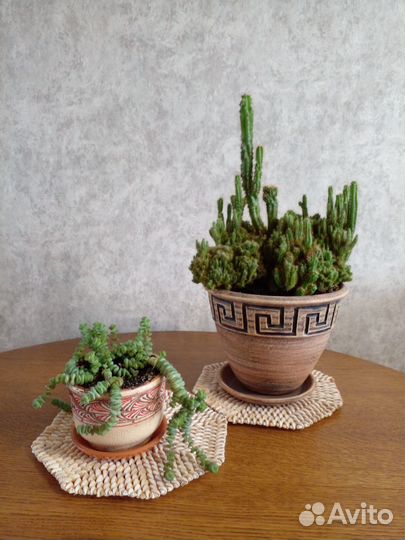 Салфетки из ракушек