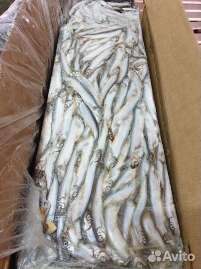 Рыба и морепродукты оптом