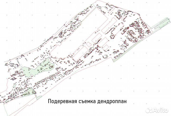 Вынос границ земельного участка, Геодезист