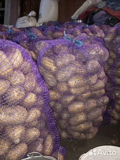 Продам картофель