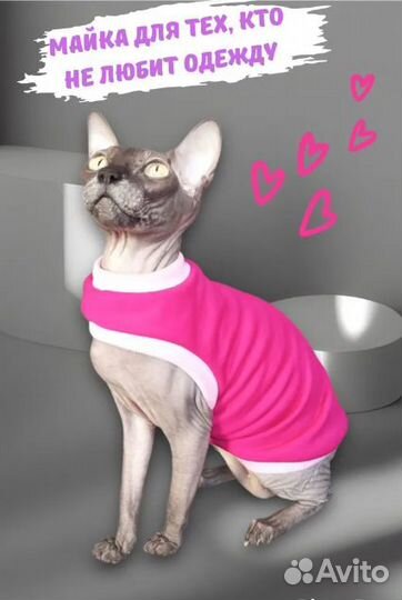 Одежда для кошек сфинксов и собак