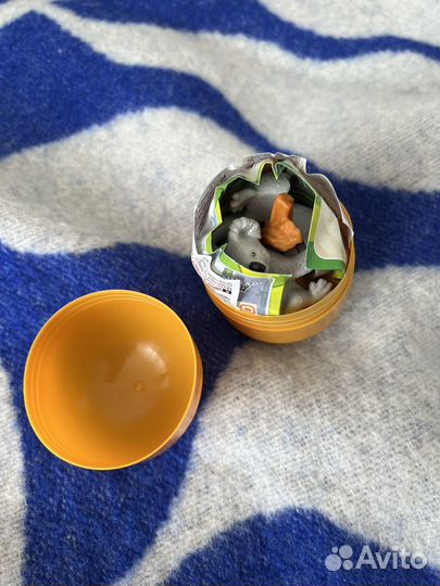 Kinder maxi natoons 2023-2024 коала