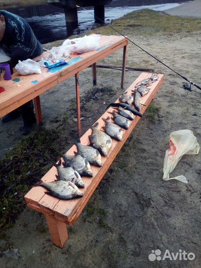 Рабалка в Карелии