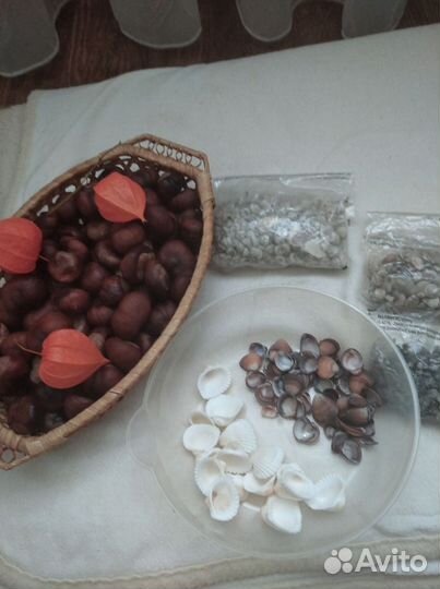 Наборы для творчества:фонарики, каштаны ракушки