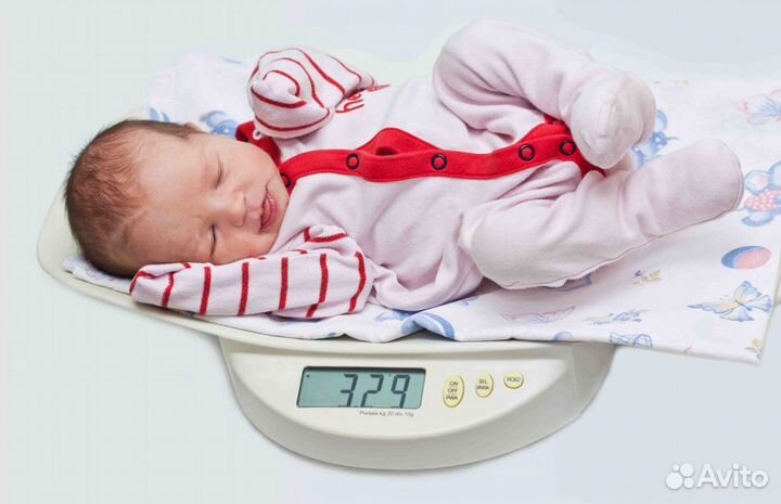 Детские электронные весы. Аренда. Всегда в наличии