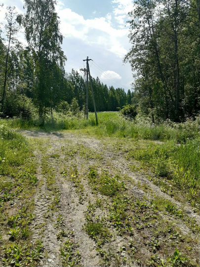 Участок 2,5 га (СНТ, ДНП)