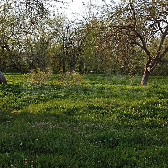 Участок 20 сот. (ИЖС)