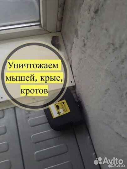 Дезинфекция, уничтожение тараканов, клопов