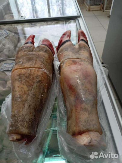 Мясо говядина