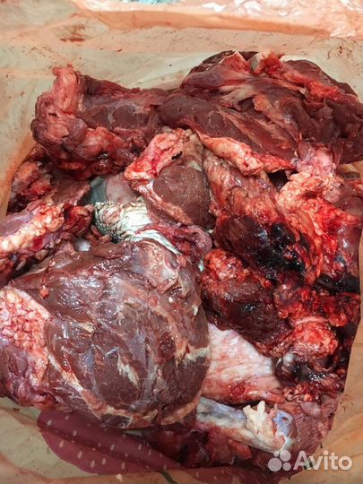 Мясо для собак