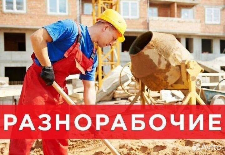 Разнорабочие, оплата каждую субботу