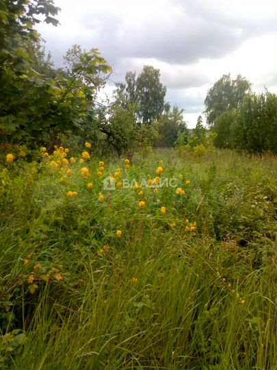 Участок 15,5 сот. (ИЖС)