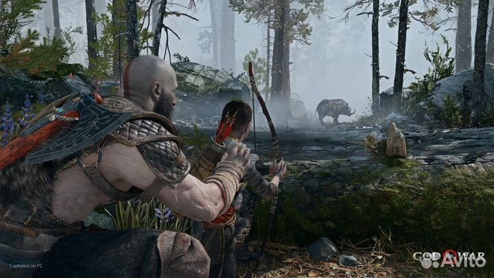 God of War (Steam)