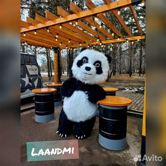 Поздравление от панды Бори