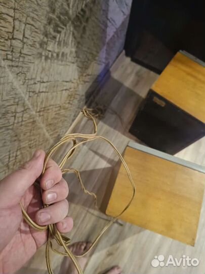 Колонки Вега 25 ас-109