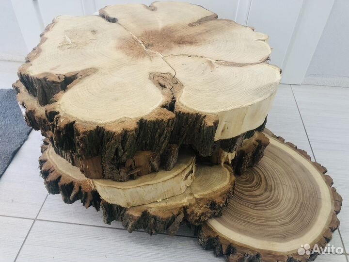 Спилы дерева