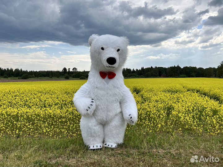 Белый Мишка поздравление