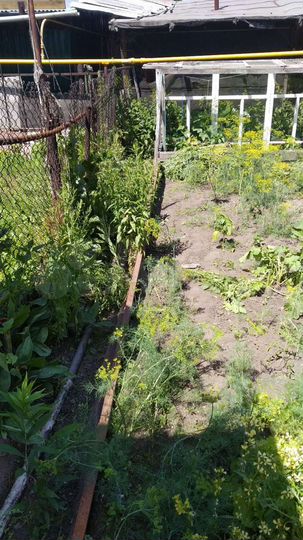 Дом 74,5 м² на участке 4,2 сот.