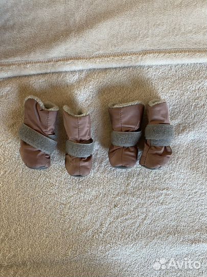 Комбинезон для маленькой собаки