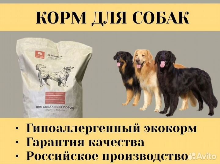 Импортный корм для собак премиум-класса