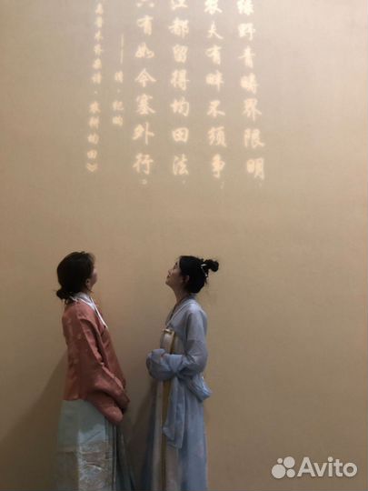 Репетитор по китайскому языку(Носитель языка)