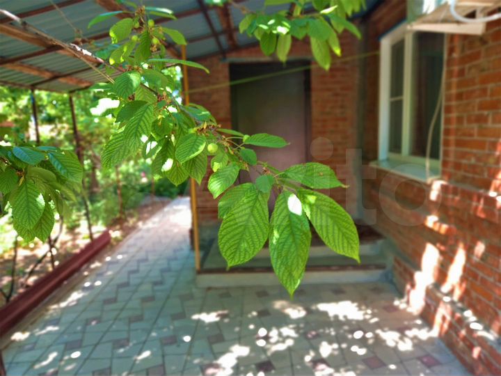 Дом 67 м² на участке 6,5 сот.