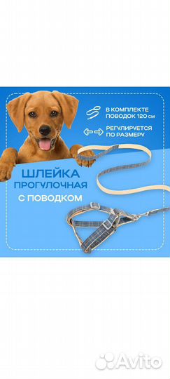 Шлейка с поводком