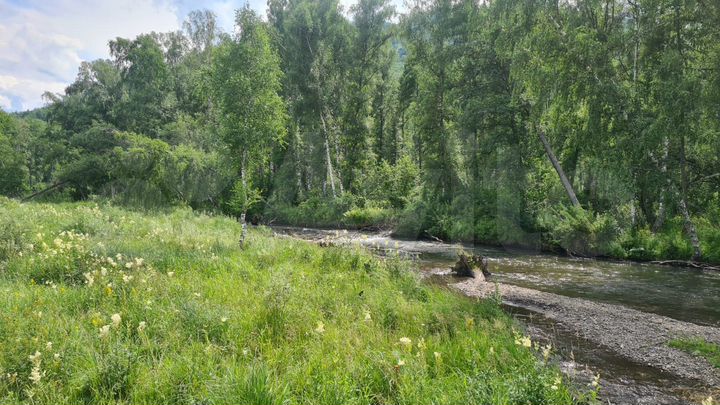 Участок 12 сот. (СНТ, ДНП)