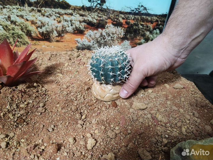 Искусственное растение Кактус Exo-terra