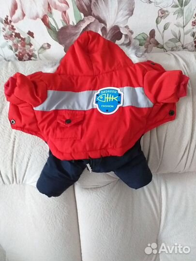 Одежда для животных