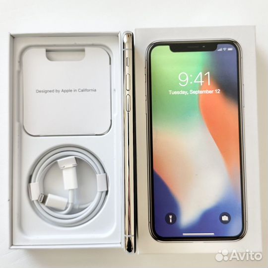 iPhone X, 256 ГБ
