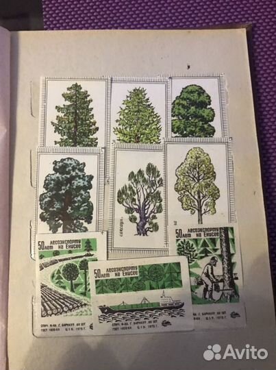 Этикетки от спичек