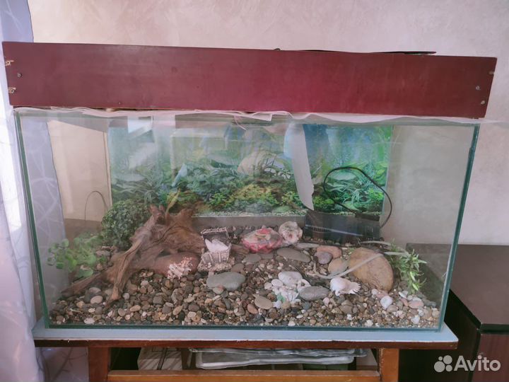 Аквариум