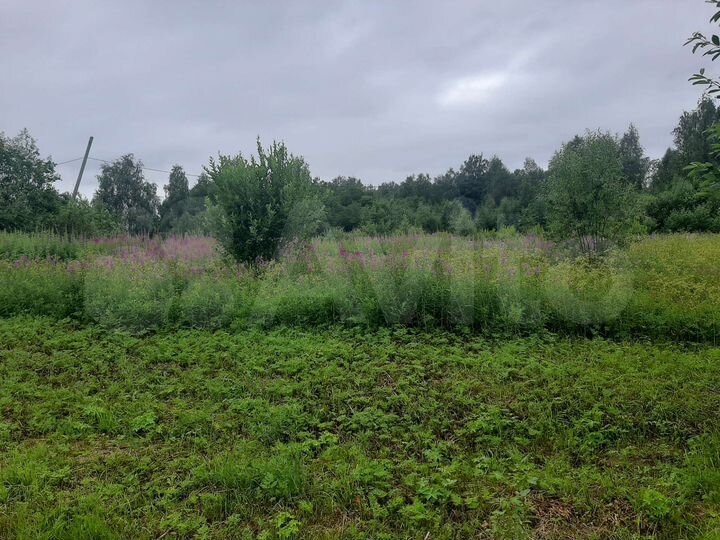 Участок 17,17 га (ИЖС)