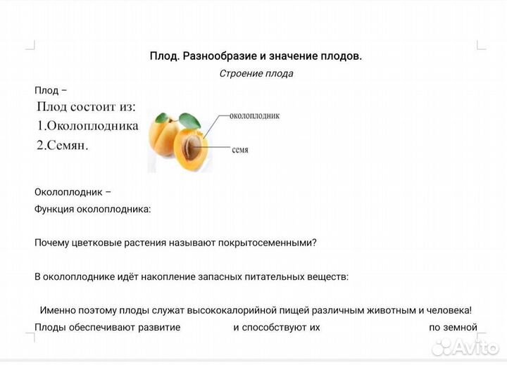 Подготовка к ОГЭ