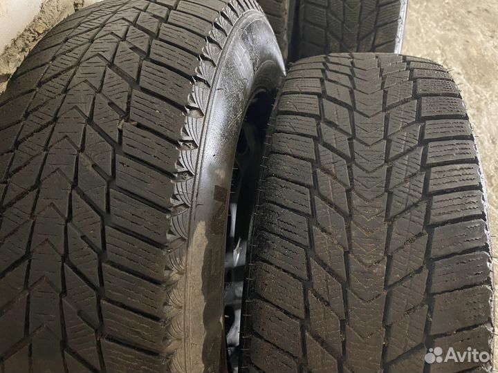 Nexen Winguard Ice Plus 195/70 R14