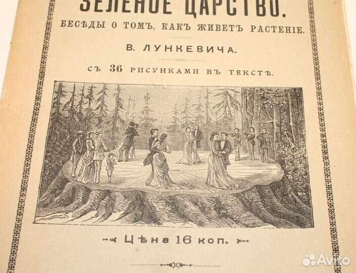 Антикварная Книга Зелёное Царство 1906 год. Иллюст